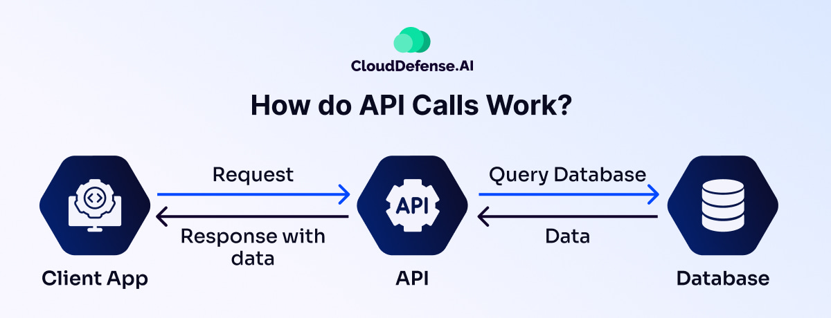 How do API Calls Work