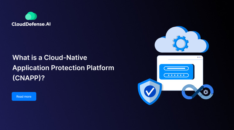 What is CNAPP? How It Works, Components & Benefits