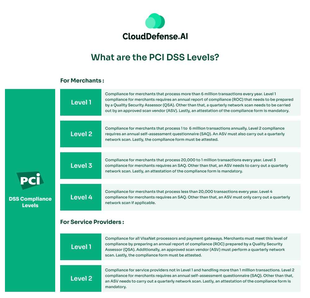 What are the PCI DSS Levels