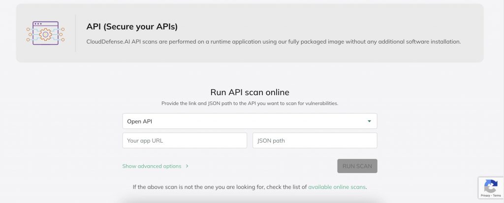 API Scanning