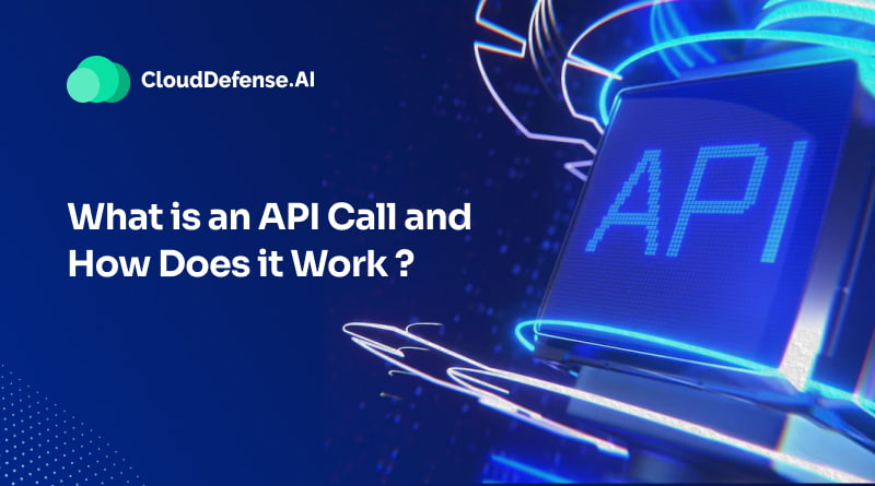 What is an API Call and How Does it Work?