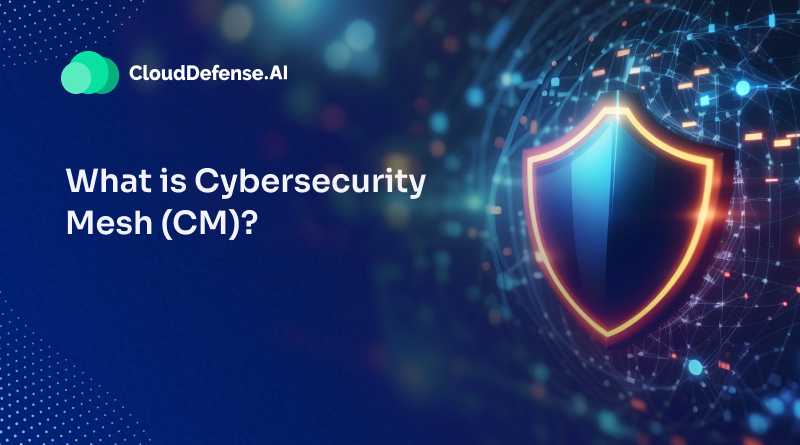 What is Cybersecurity Mesh (CM)? Explore every piece of CM!