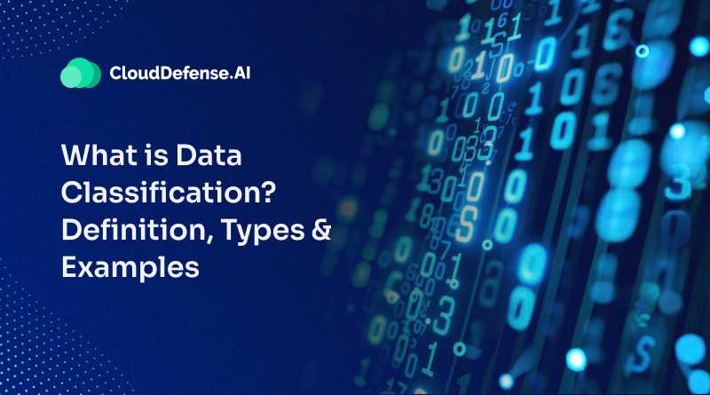 What Is Data Classification_ - Definition, Types & Examples