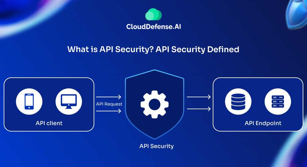 What is API Security? API Security Defined