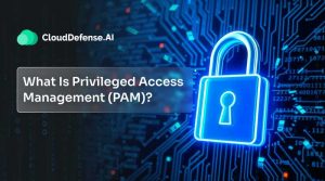 What Is Privileged Access Management (PAM)