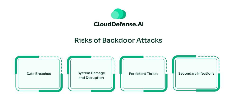 Risks of Backdoor Attacks