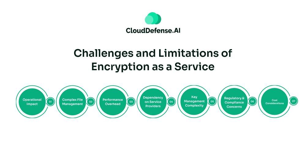 Challenges and Limitations of Encryption as a Service